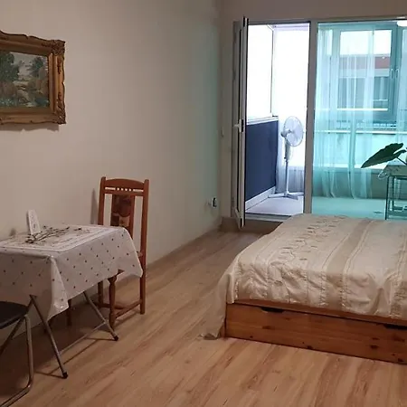 Студио 1 דירה